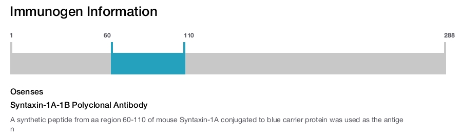Syntaxin-1A-1B Polyclonal Antibody