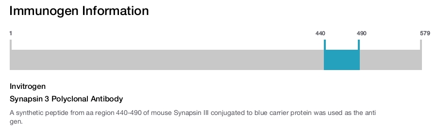 Synapsin 3 Polyclonal Antibody