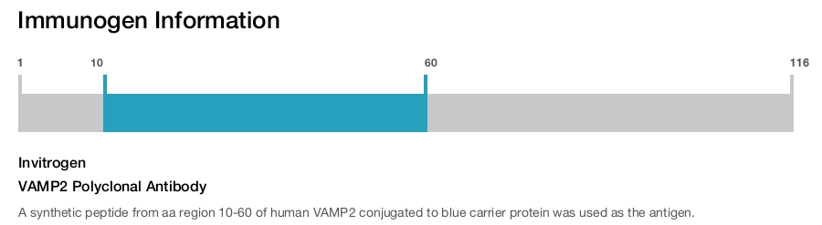 VAMP2 Polyclonal Antibody