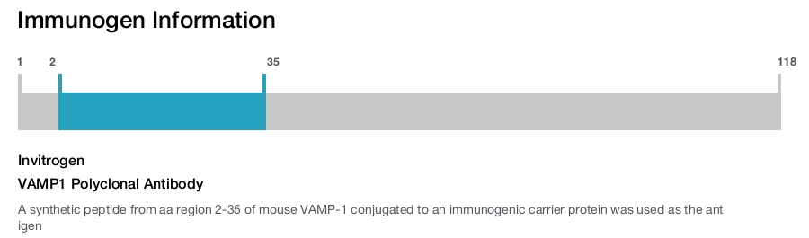 VAMP1 Polyclonal Antibody