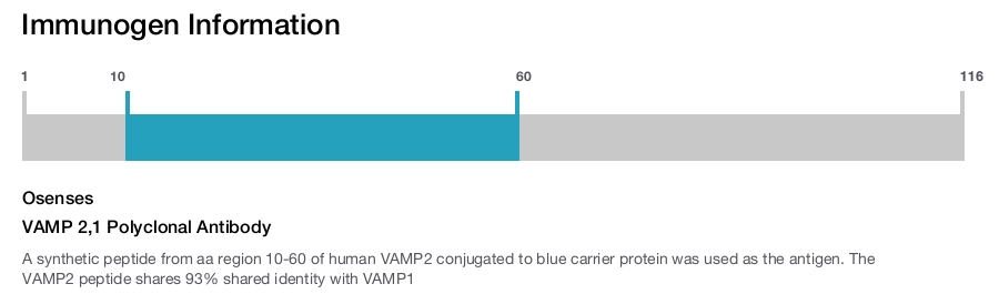 VAMP 2,1 Polyclonal Antibody
