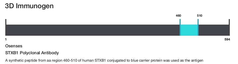STXB1 Polyclonal Antibody