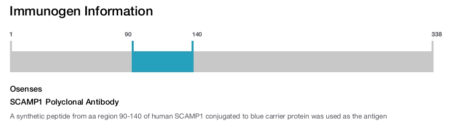 SCAMP1 Polyclonal Antibody