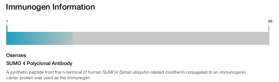 SUMO 4 Polyclonal Antibody