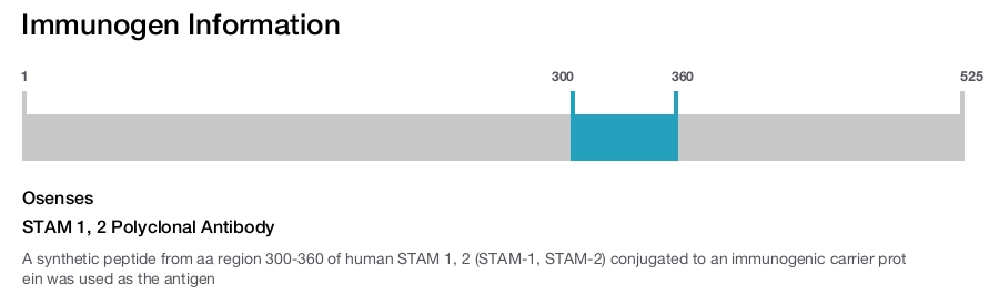 STAM 1, 2 Polyclonal Antibody