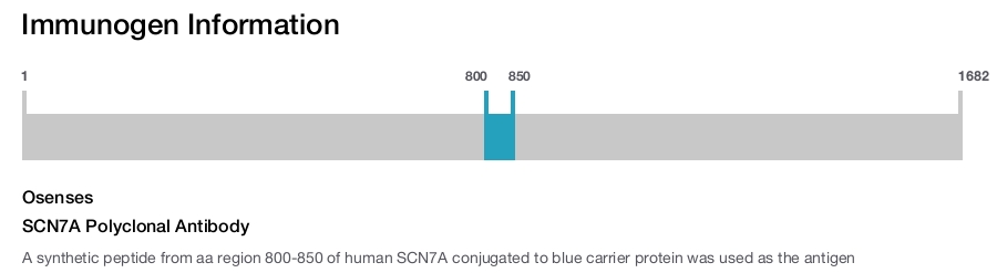 SCN7A Polyclonal Antibody