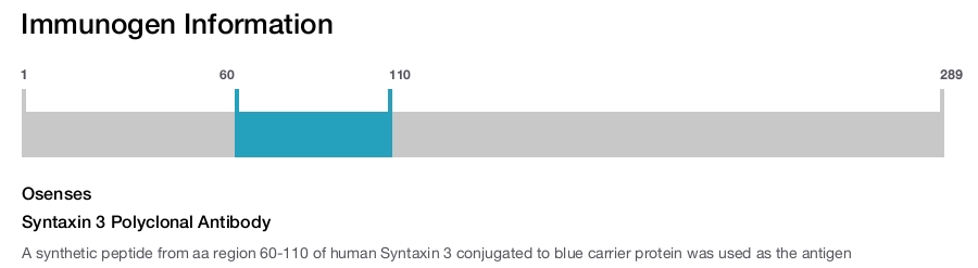 Syntaxin 3 Polyclonal Antibody