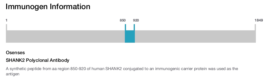 SHANK2 Polyclonal Antibody