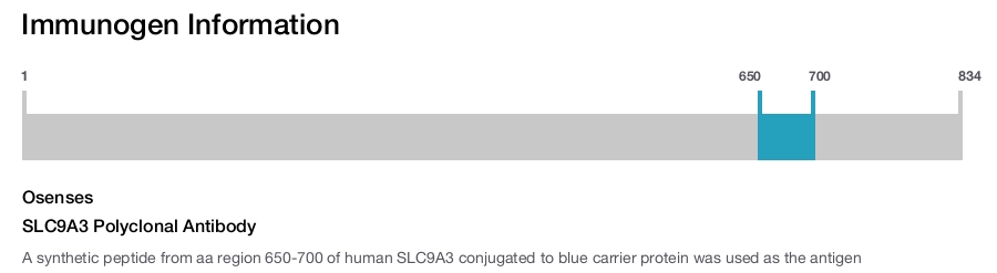 SLC9A3 Polyclonal Antibody