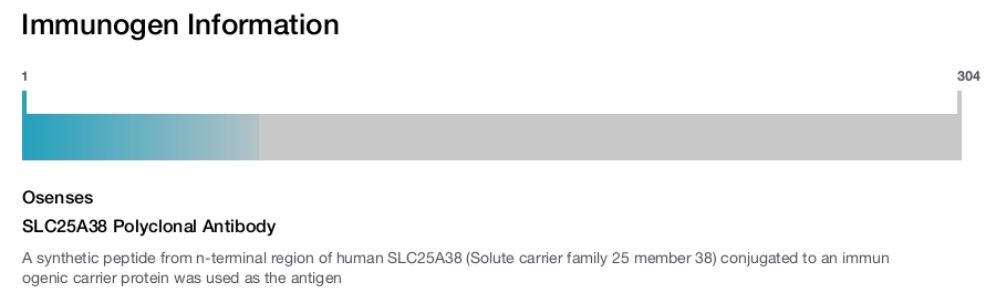 SLC25A38 Polyclonal Antibody