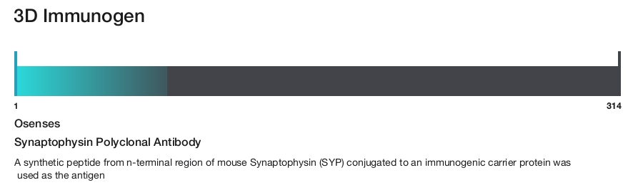 Synaptophysin Polyclonal Antibody