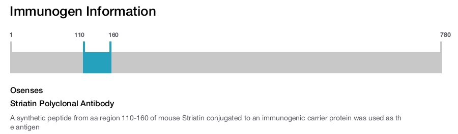 Striatin Polyclonal Antibody