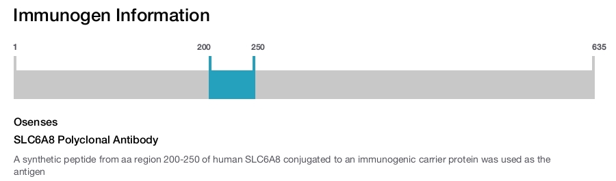 SLC6A8 Polyclonal Antibody