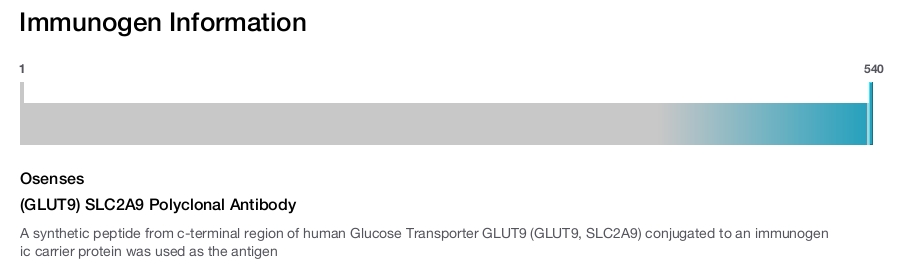 (GLUT9) SLC2A9 Polyclonal Antibody