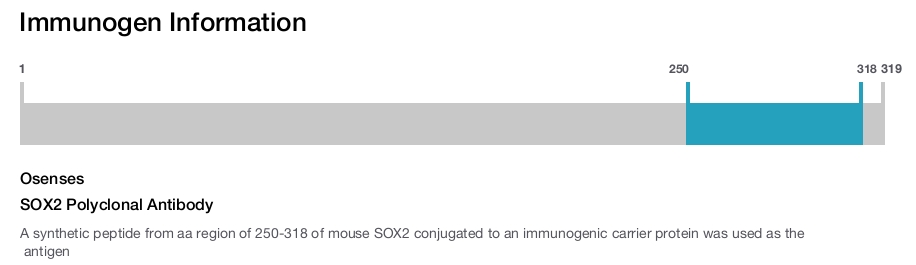SOX2 Polyclonal Antibody