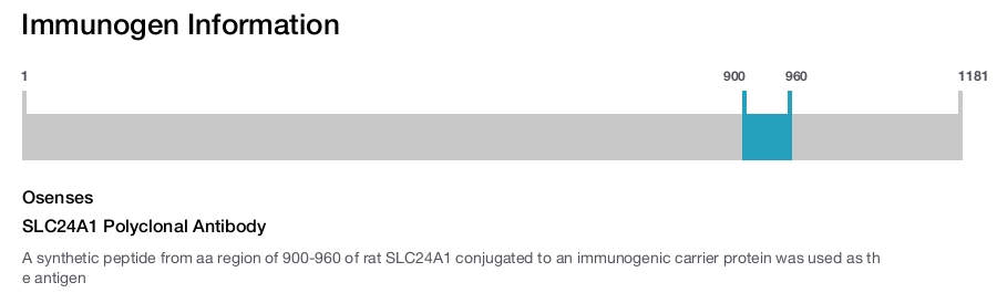 SLC24A1 Polyclonal Antibody