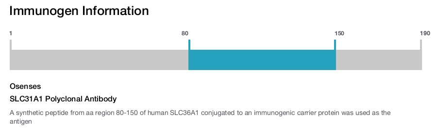 SLC31A1 Polyclonal Antibody