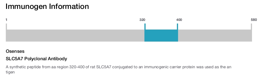 SLC5A7 Polyclonal Antibody