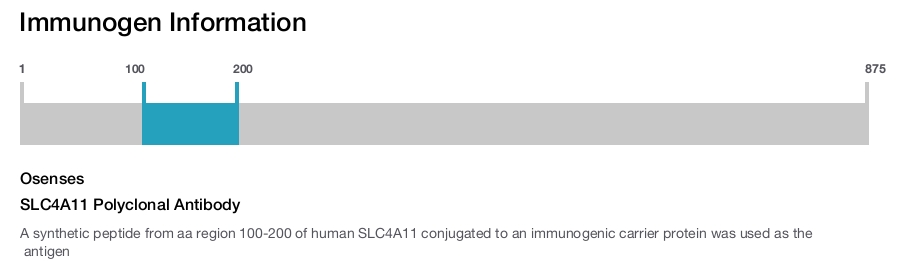 SLC4A11 Polyclonal Antibody