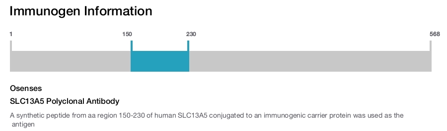 SLC13A5 Polyclonal Antibody