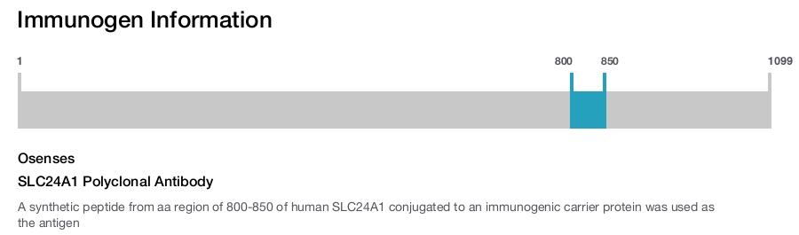 SLC24A1 Polyclonal Antibody