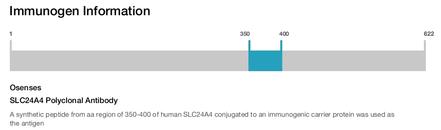 SLC24A4 Polyclonal Antibody