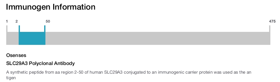 SLC29A3 Polyclonal Antibody