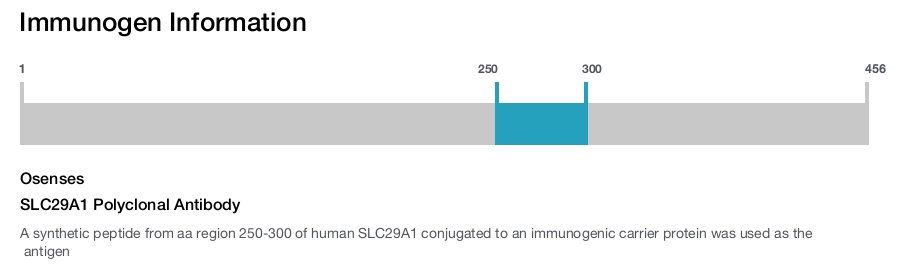 SLC29A1 Polyclonal Antibody