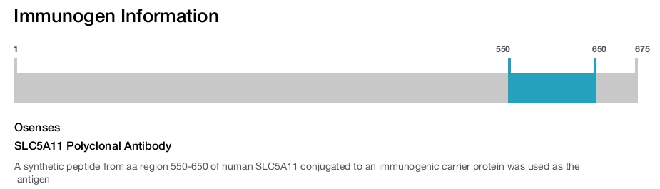 SLC5A11 Polyclonal Antibody
