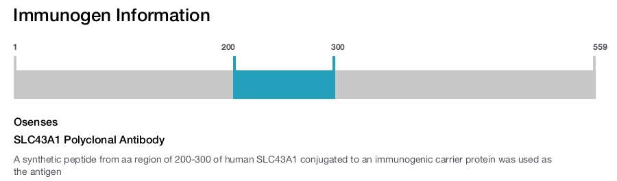 SLC43A1 Polyclonal Antibody