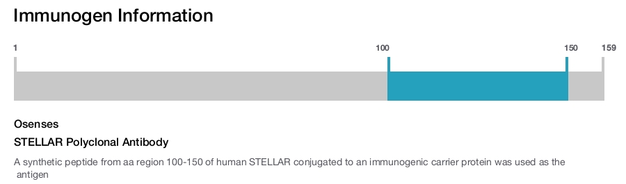 STELLAR Polyclonal Antibody