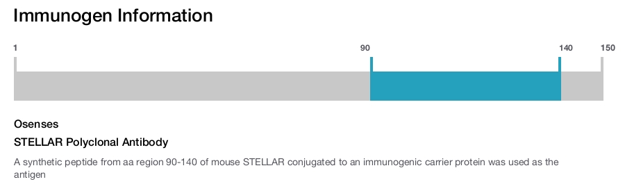 STELLAR Polyclonal Antibody