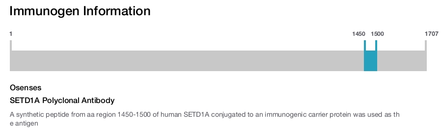 SETD1A Polyclonal Antibody