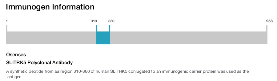 SLITRK5 Polyclonal Antibody