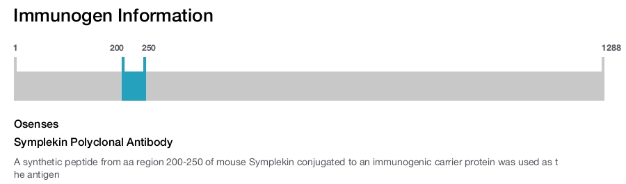 Symplekin Polyclonal Antibody