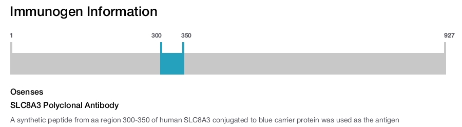SLC8A3 Polyclonal Antibody