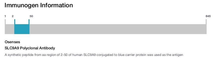 SLC9A9 Polyclonal Antibody
