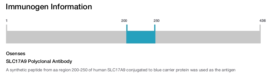 SLC17A9 Polyclonal Antibody