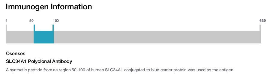 SLC34A1 Polyclonal Antibody