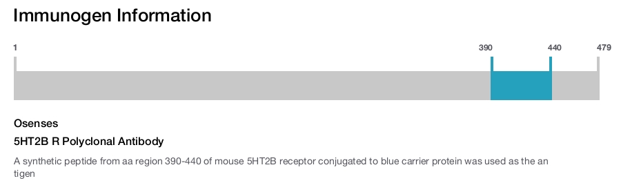 5HT2B R Polyclonal Antibody