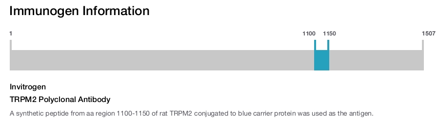TRPM2 Polyclonal Antibody