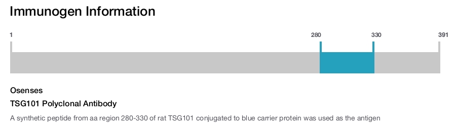 TSG101 Polyclonal Antibody