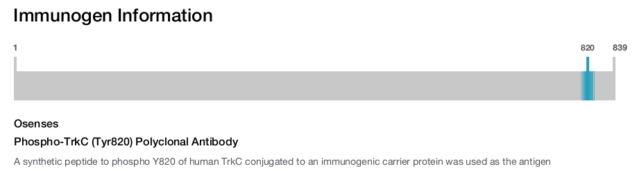 Phospho-TrkC (Tyr820) Polyclonal Antibody