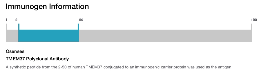 TMEM37 Polyclonal Antibody