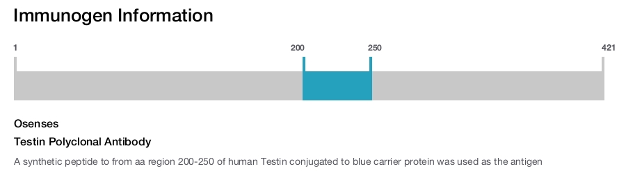 Testin Polyclonal Antibody