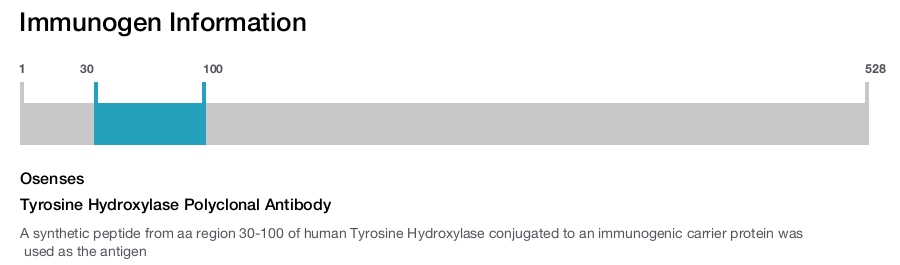 Tyrosine Hydroxylase Polyclonal Antibody
