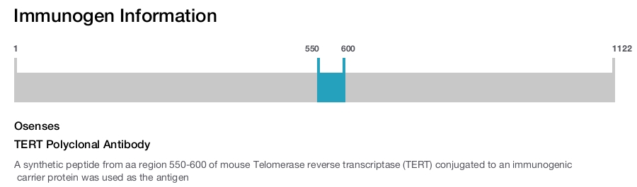 TERT Polyclonal Antibody