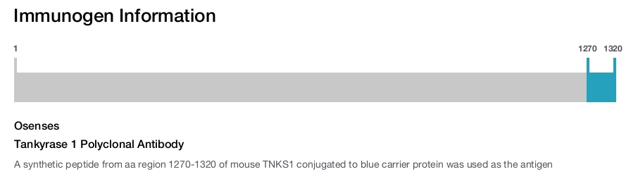 Tankyrase 1 Polyclonal Antibody