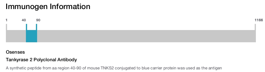 Tankyrase 2 Polyclonal Antibody