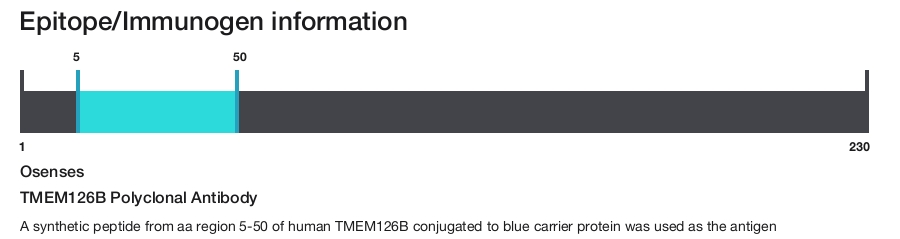 TMEM126B Polyclonal Antibody